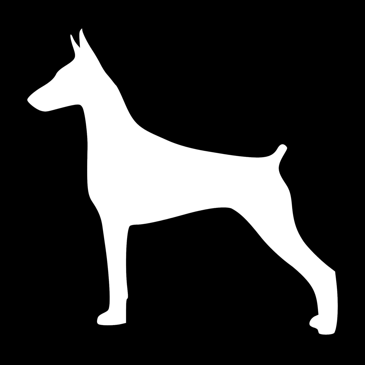 Doberman Pinscher, Sticker Decal.