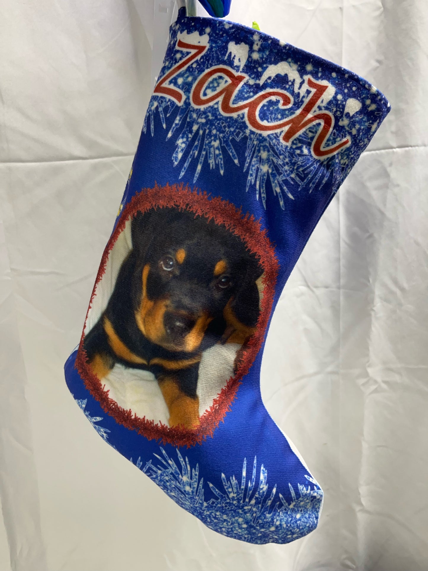 Custom Christmas Pet Stocking. Personalized
