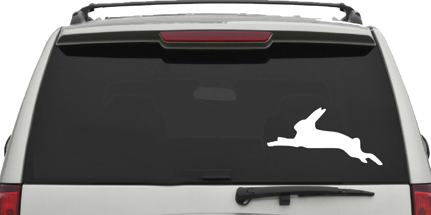 Hare  Decal, Sticker, Rabbit