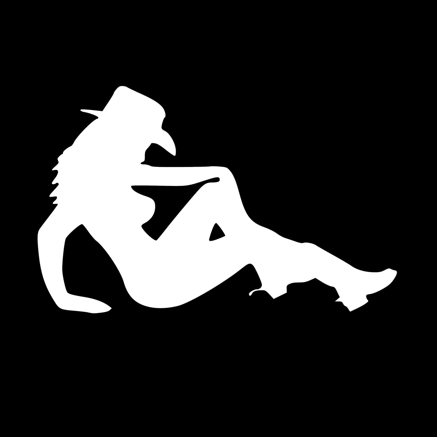 Western Cowgirl in Hat and Boots, Rodeo, Decal Sticker