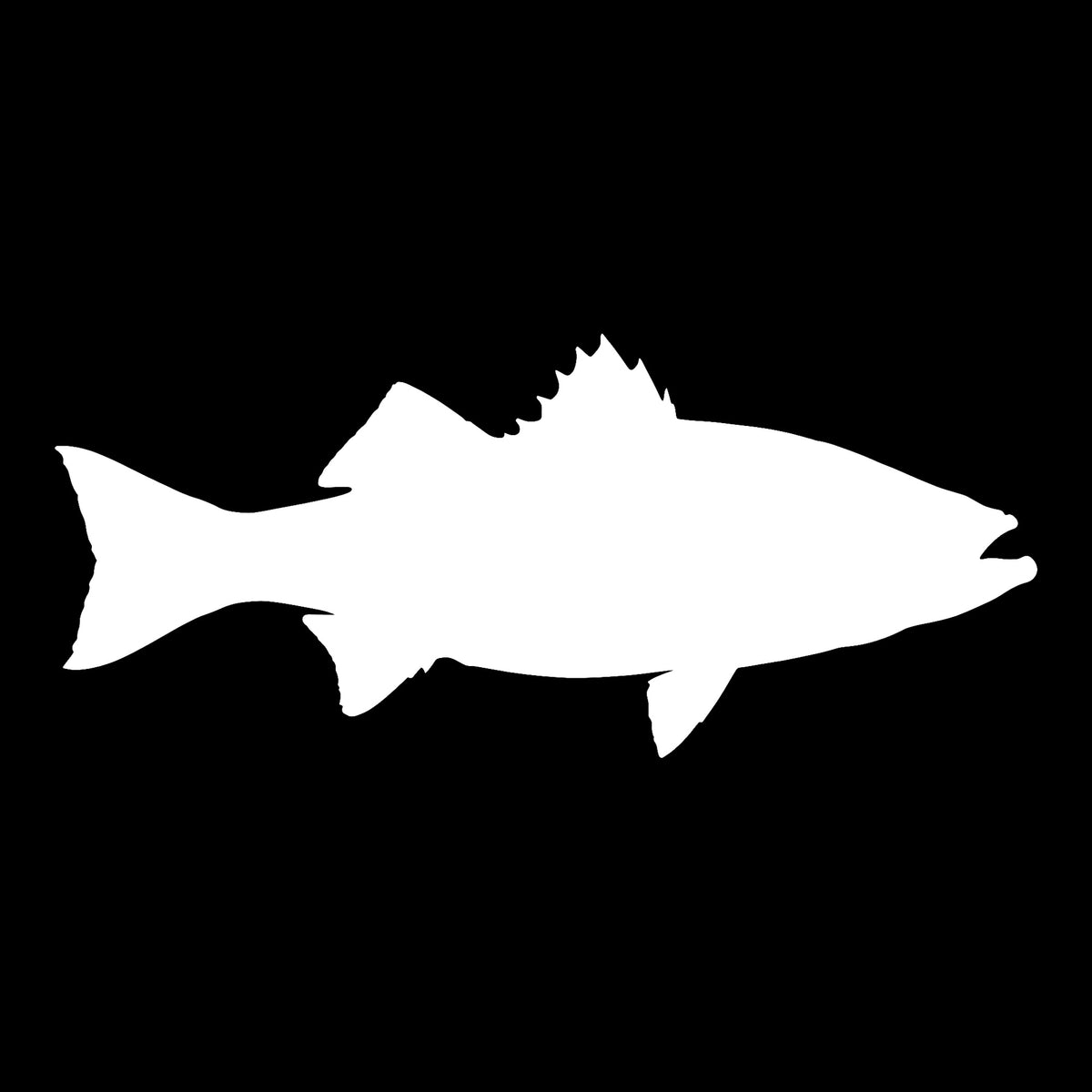 Striped Bass decal in white on a black background