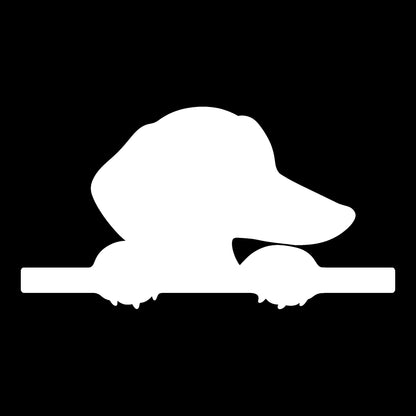 Peeking Dachshund decal in white on a black background