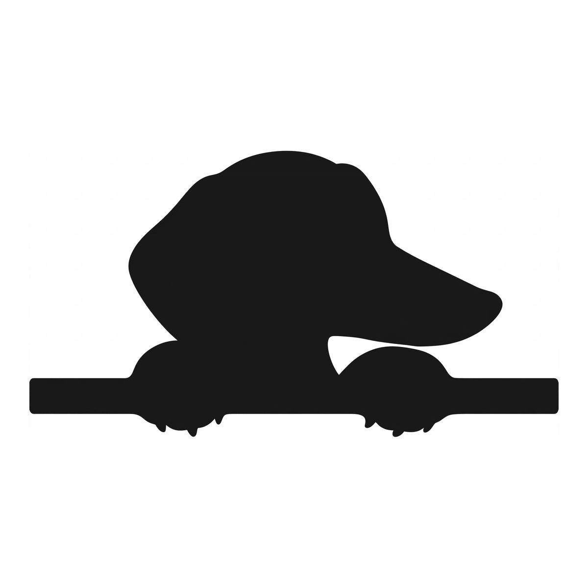 Peeking Dachshund decal design in black on a white background