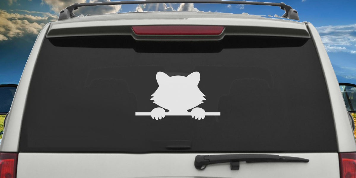 Peeking Raccoon decal applied to a truck rear window