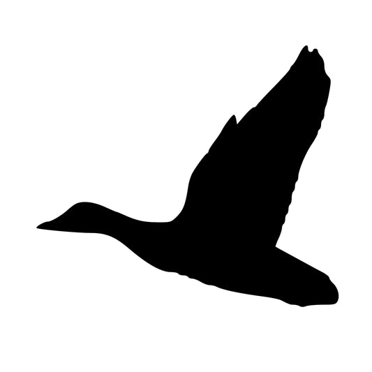 Flying Mallard, Sticker Decal