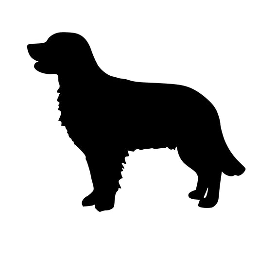 Golden Retriever, sticker Decal