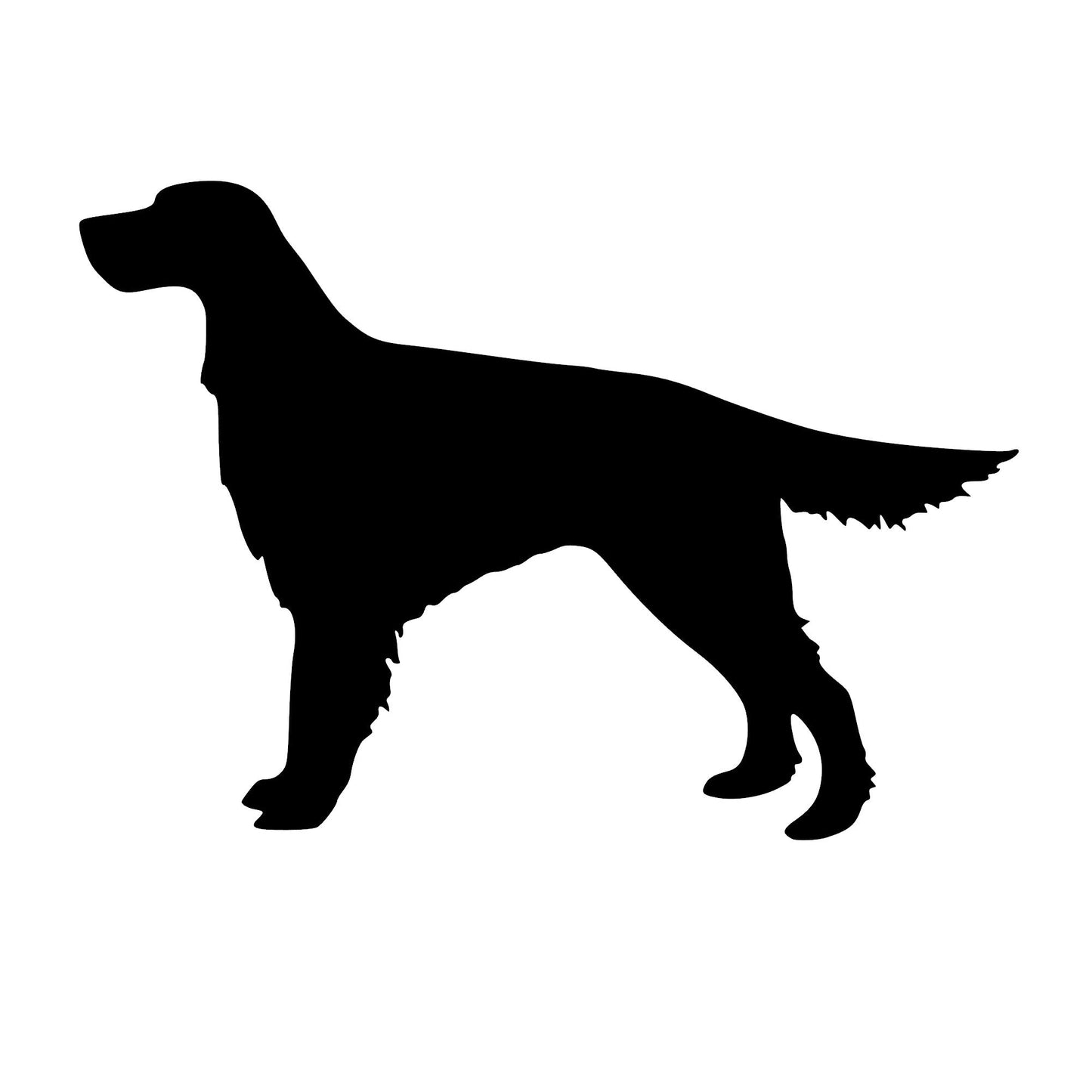 Irish Setter Dog, Sticker Decal
