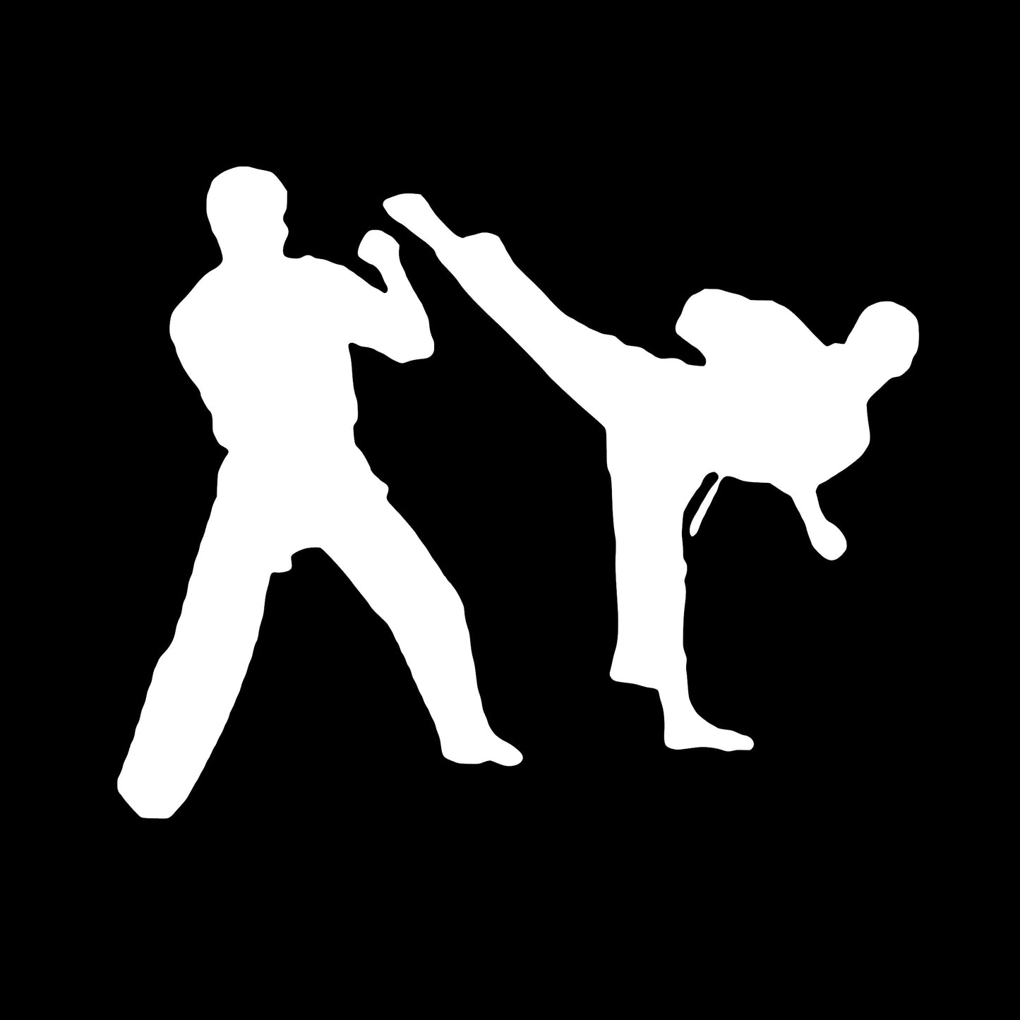 Martial Arts Sparring, Sticker Decal
