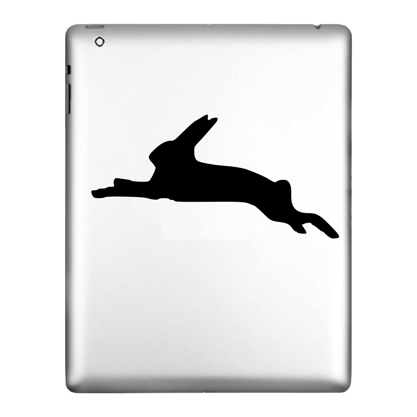 Hare  Decal, Sticker, Rabbit