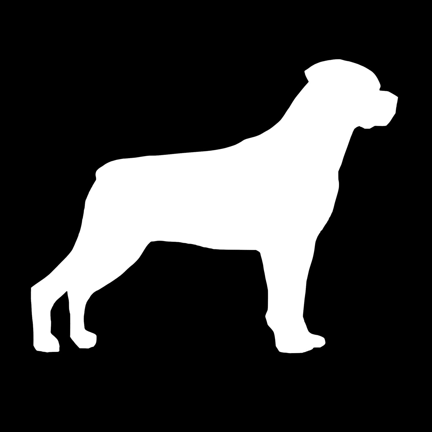 Rottweiler Dog, Decal Sticker