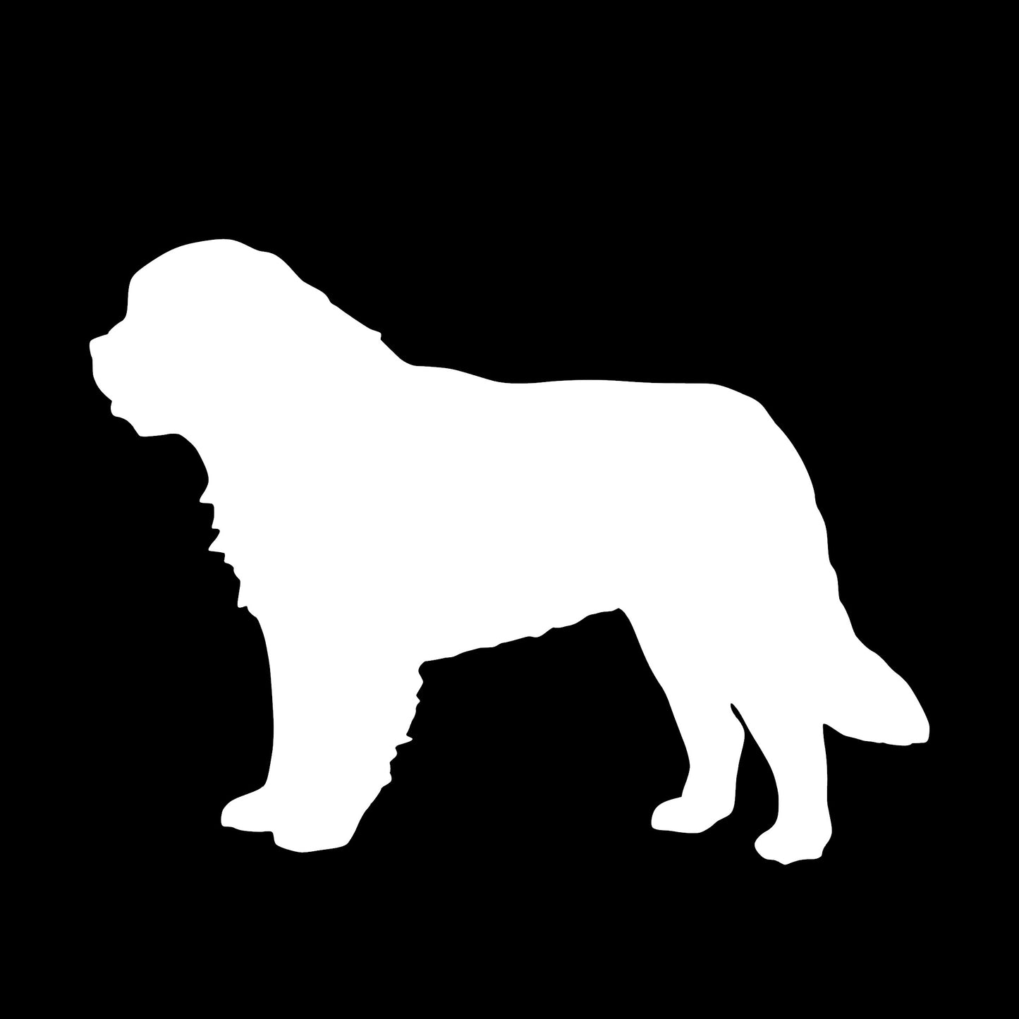 Saint Bernard Dog, Sticker Decal